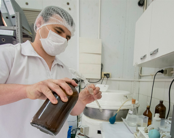 Farming Evolución constante