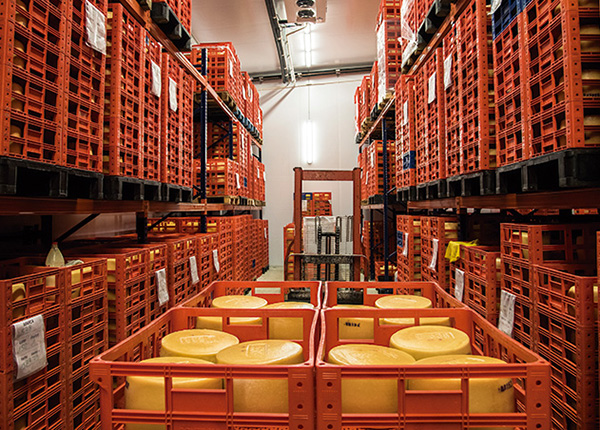 La lechería en Uruguay